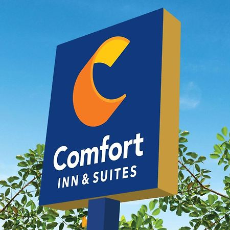Comfort Inn & Suites Саванна Экстерьер фото